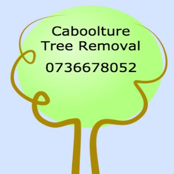 Caboolture Tree Removal & Tree Lopping | general contractor | 167 Bellini Rd, Narangba QLD 4505, Australia | 0736678052 OR +61 (07) 3667 8052