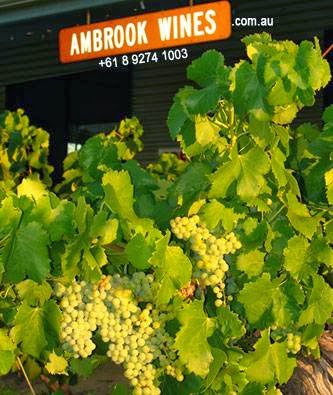 Ambrook Wines | store | 2810 W Swan Rd, Caversham WA 6055, Australia | 0892741003 OR +61 8 9274 1003