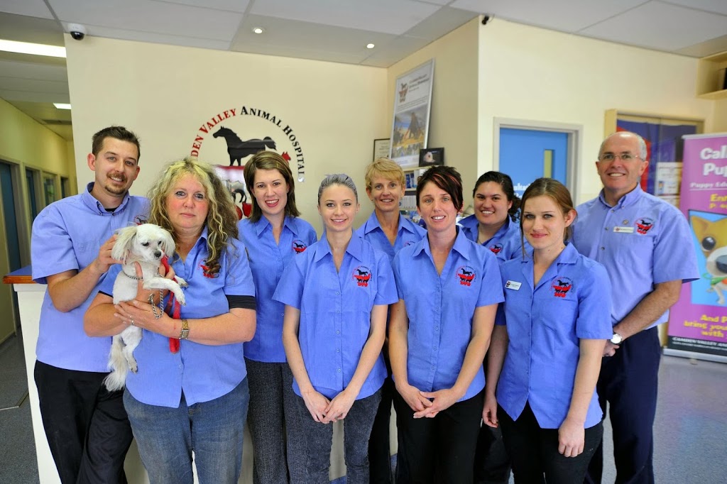 Camden Valley Animal Hospital | veterinary care | 2 Exchange Parade, Smeaton Grange NSW 2567, Australia | 0246476199 OR +61 2 4647 6199
