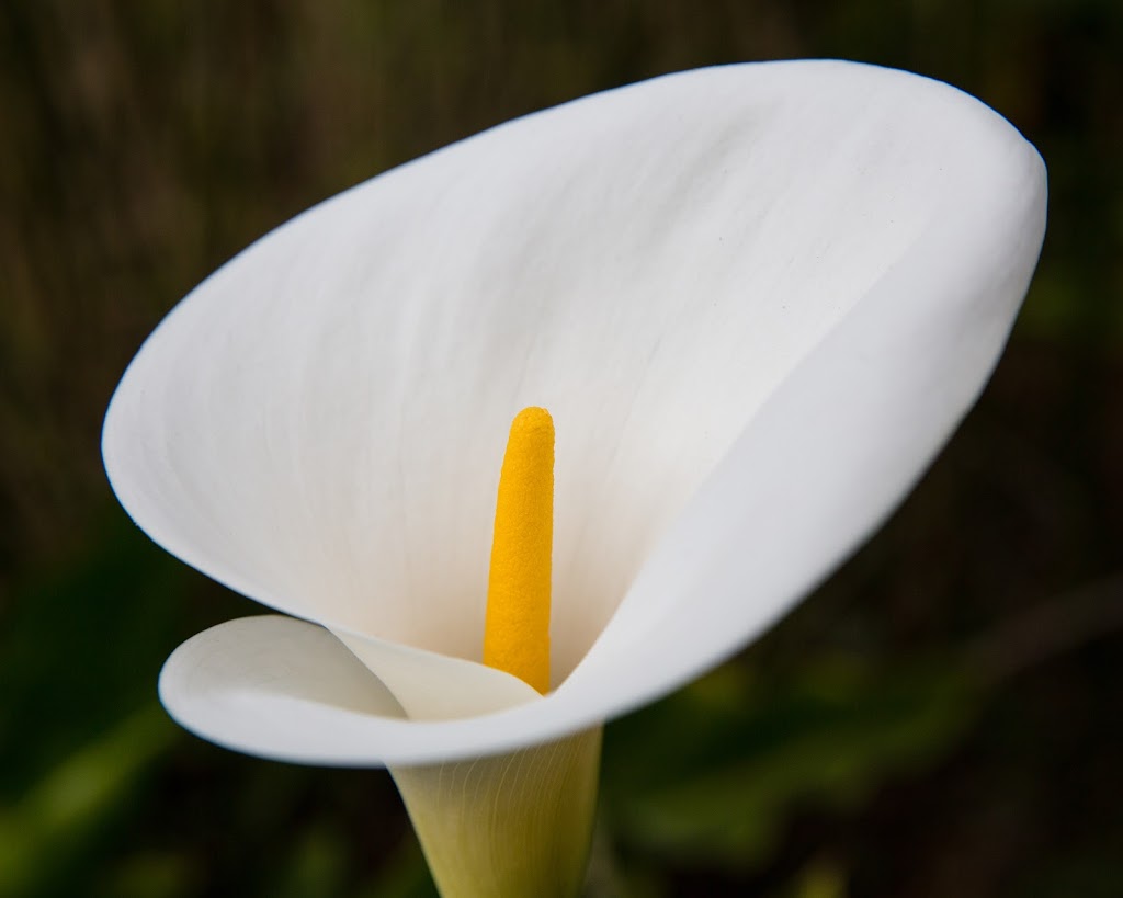 Mission Australia Triple Care Farm Knights Hill | 188 Knights Hill Rd, Knights Hill NSW 2577, Australia | Phone: (02) 4885 1265