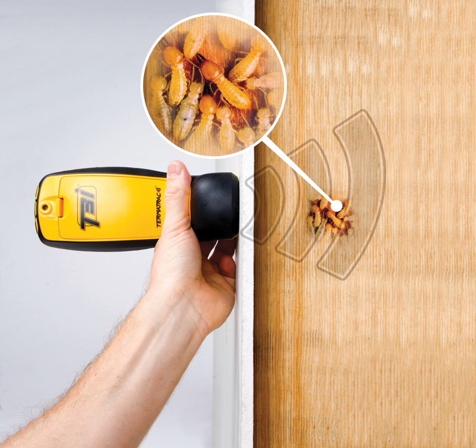 Asset Guard Pest Control | 5 Aletta St, Shailer Park QLD 4128, Australia | Phone: 0481 090 563