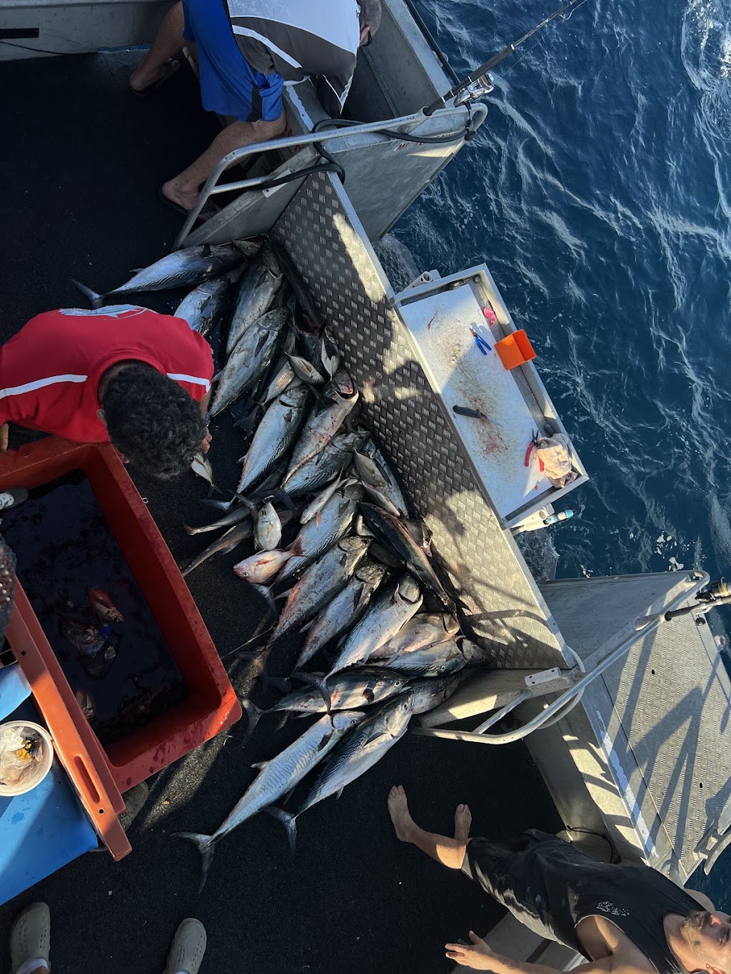 Paradise Fishing Charters Gold Coast | 1 Muriel Henchman Dr, Main Beach QLD 4217, Australia | Phone: 0403 531 428