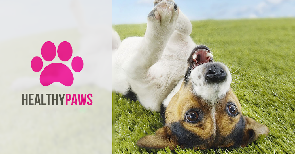 Healthy Paws Uniuqe Pet Care |  | 3 Eagleview Ct, Woombye QLD 4559, Australia | 0413445712 OR +61 413 445 712