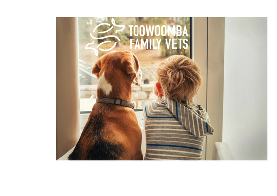 Toowoomba Family Vets | veterinary care | 1/2 Margaret St, East Toowoomba QLD 4350, Australia | 0746020321 OR +61 7 4602 0321