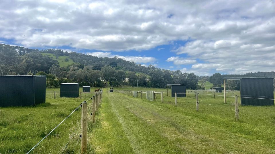 Toomah Farm Equine | 455 Toomuc Valley Rd, Pakenham VIC 3810, Australia | Phone: 0432 899 023