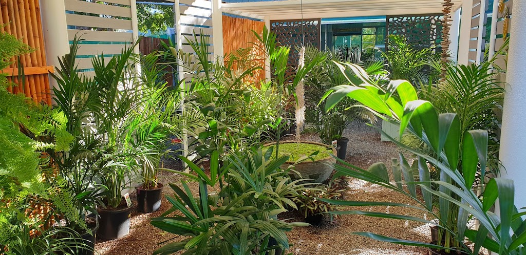Rees Plants and Nursery |  | Rubyvale Rd, Clermont QLD 4721, Australia | 0459310631 OR +61 459 310 631