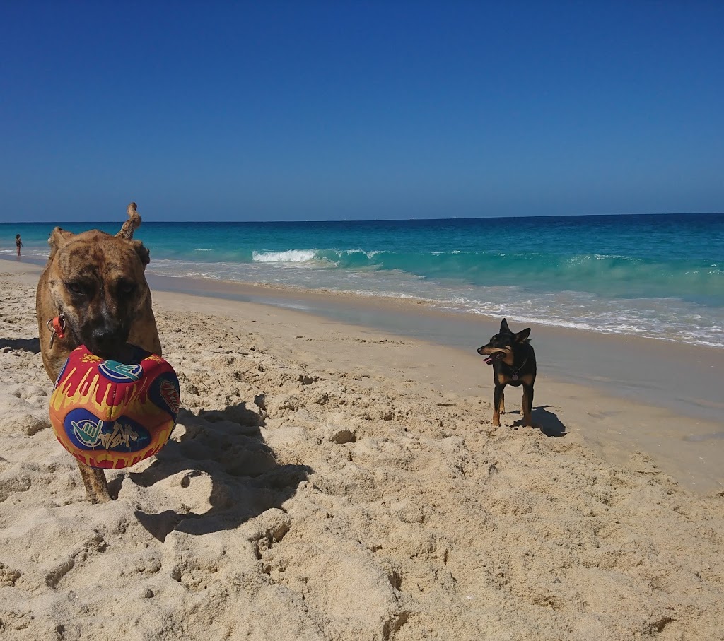 Dog Beach ( South of City Beach) | park | Challenger Parade, City Beach WA 6015, Australia