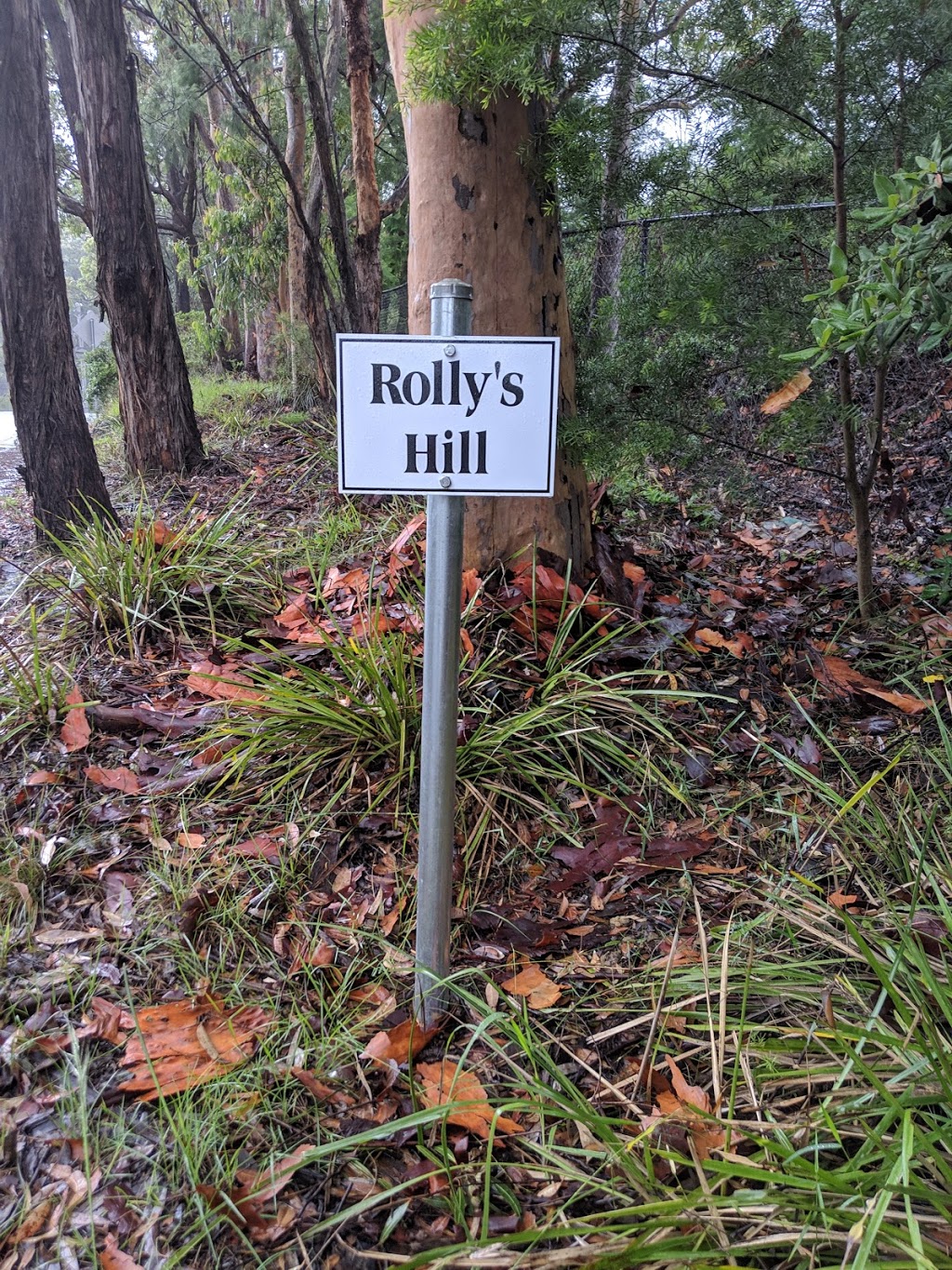 Rollys Hill | park | 141 Tusculum Rd, Valley Heights NSW 2777, Australia
