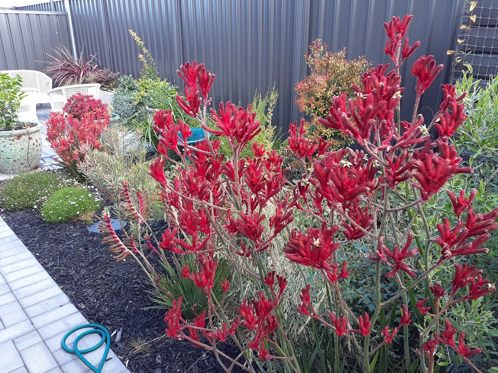 Vertical Gardens@ectoplasm | 10 Penzance St, Glenelg SA 5045, Australia | Phone: 0448 789 793