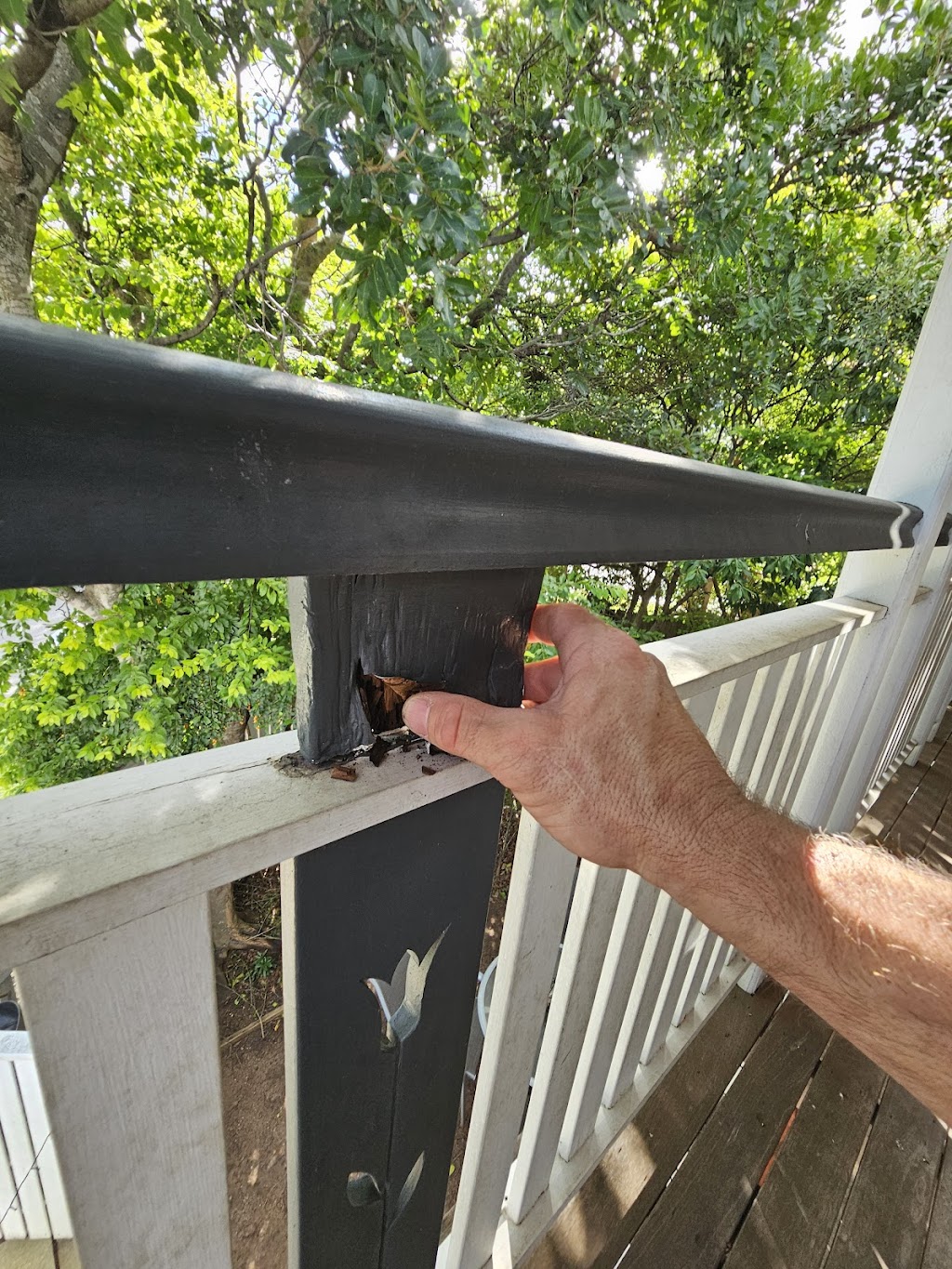 Admired Building & Pest Inspections | 15 Appaloosa Pl, Pine Mountain QLD 4306, Australia | Phone: 0400 076 162