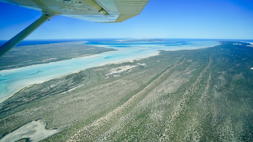 Shark Bay Scenic Flights powered by Nationwest Aviation | Shark Bay Airport Rd, Denham WA 6537, Australia | Phone: (08) 9390 0999