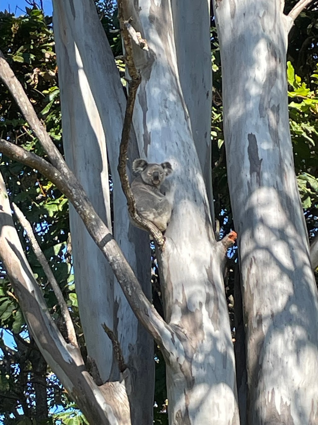 Fairview Studios | 114 Stewarts Rd, Clunes NSW 2480, Australia | Phone: 0406 404 335