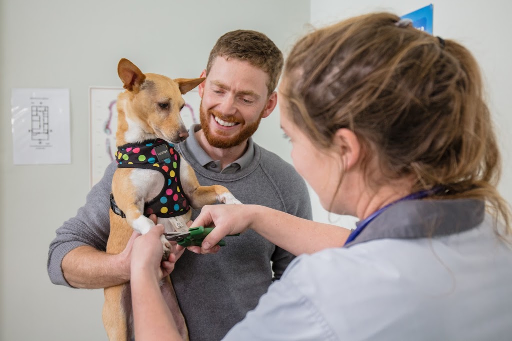 Station Street Veterinary Clinic | veterinary care | 72/74 Station St, Koo Wee Rup VIC 3981, Australia | 0359972222 OR +61 3 5997 2222