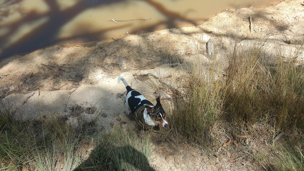 Tenterfield Park (Dog Park) | Tenterfield NSW 2372, Australia