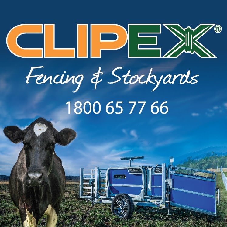 Clipex | store | 541 Wagga Rd, Lavington NSW 2641, Australia | 0260601618 OR +61 2 6060 1618