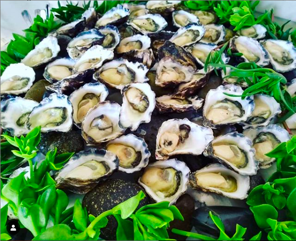 Shuck Oysters | 1 Dudgeons Ln, Bangalow NSW 2479, Australia | Phone: 0401 569 382