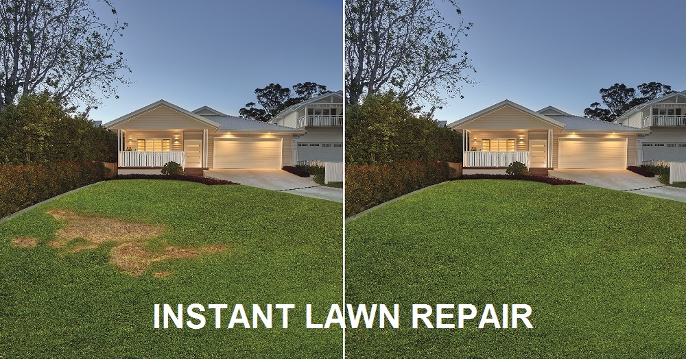 Lawn Block Turf |  | 661 Mundoolun Connection Rd, Boyland QLD 4275, Australia | 0755417077 OR +61 7 5541 7077