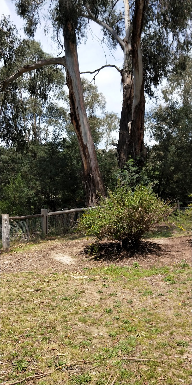 Diamond Creek Reserve Off Leash Dog Park | Diamond Creek VIC 3089, Australia