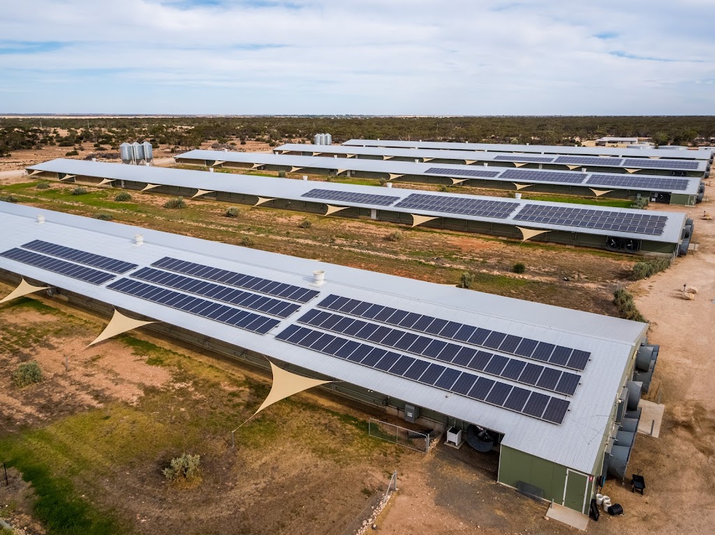 Green Energy Solutions | 46 Jerrys Pl, Thornlands QLD 4164, Australia | Phone: (07) 3488 0363