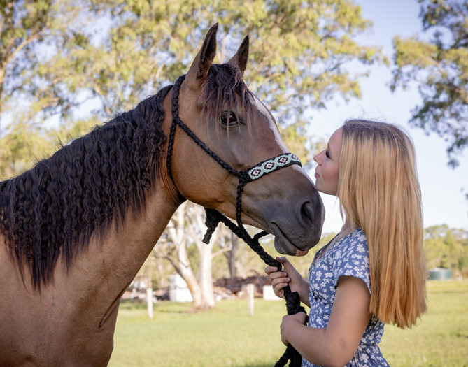 A and T Images | 221 Sunrise Dr, Ocean View QLD 4521, Australia | Phone: 0438 816 877