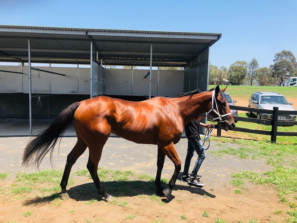 Scone Race Club | 434 Bunnan Rd, Scone NSW 2337, Australia | Phone: (02) 6545 1607