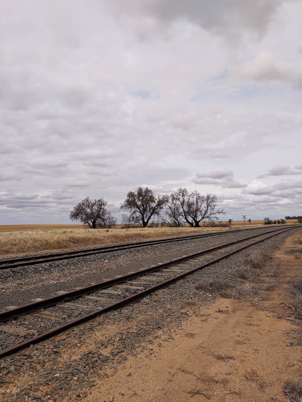 Mallee Sunsets Gallery | Henty Hwy & Windy Ridge Rd, Rosebery VIC 3395, Australia | Phone: 0438 301 566