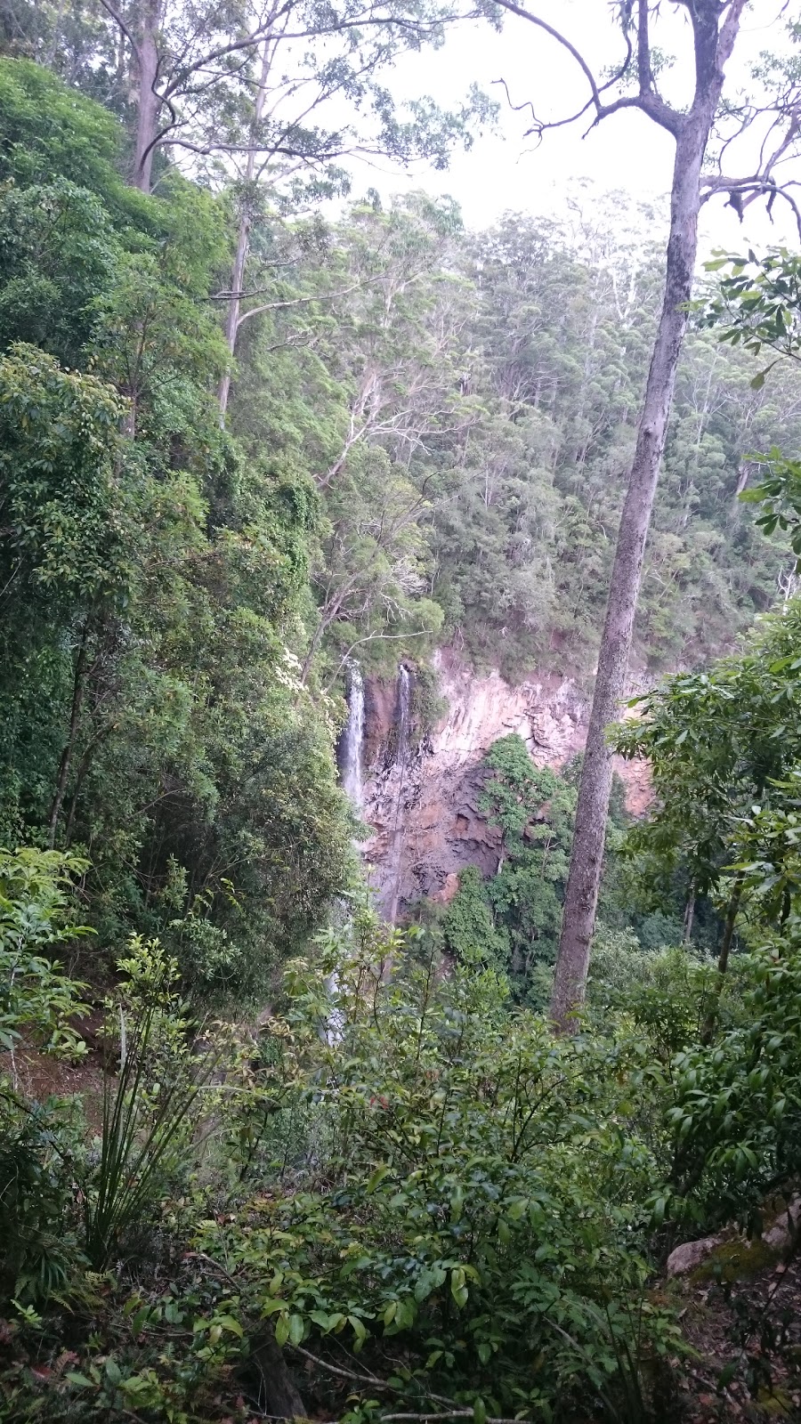 Boorganna Nature Reserve | park | Boorganna NSW 2429, Australia