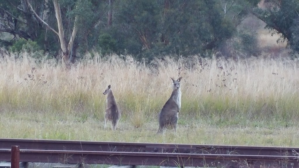 NSW National Parks | Newnes Plateau NSW 2790, Australia | Phone: (02) 9995 6500