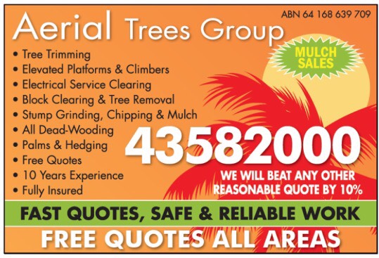 Aerial Trees Group Pty Ltd | 295 Pacific Hwy, Lake Munmorah NSW 2259, Australia | Phone: (02) 4358 2000