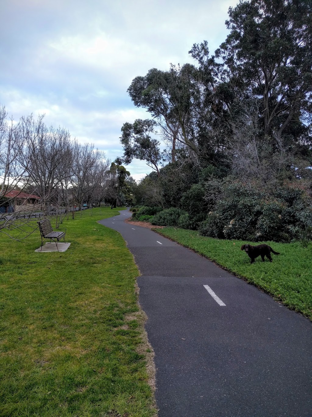 Ormond Community Gardens | park | Glen Huntly VIC 3163, Australia