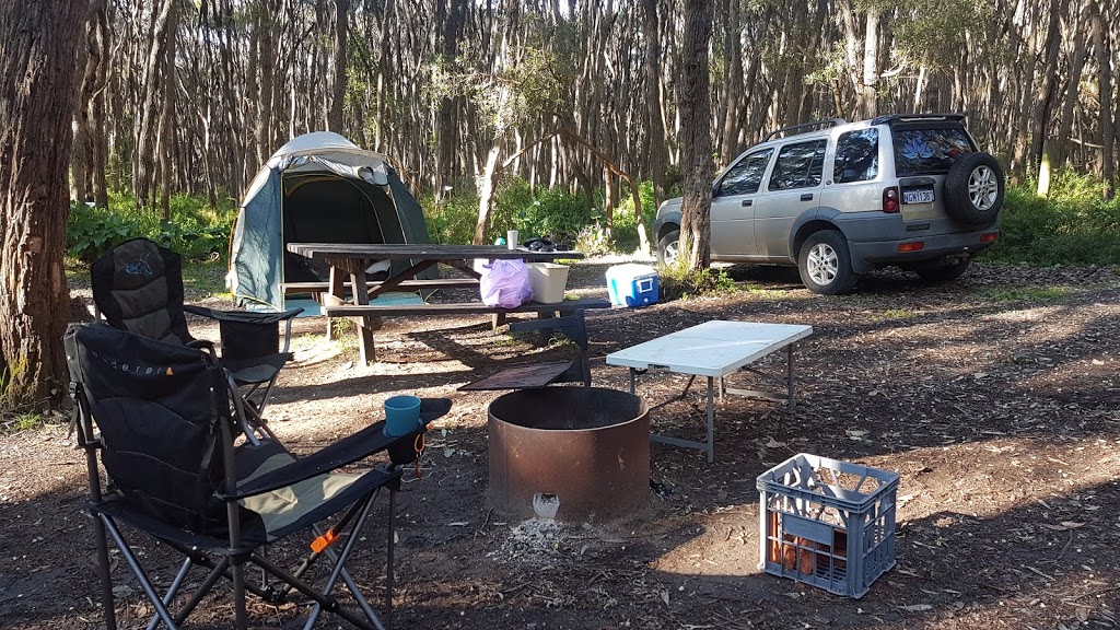 Boranup campground | campground | Boranup WA 6286, Australia