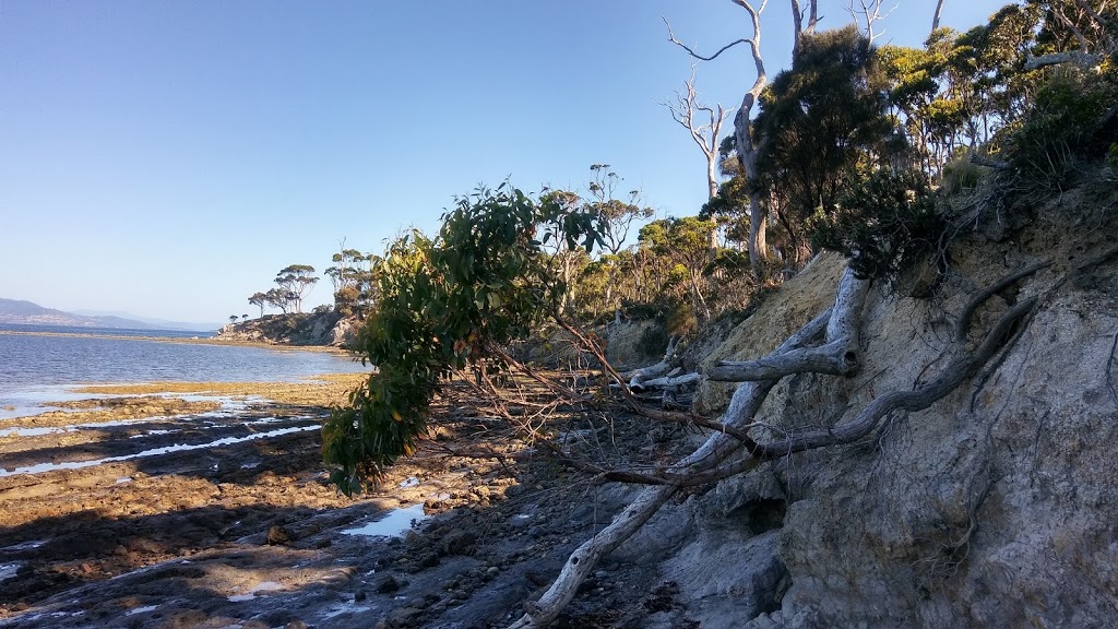 Cemetery Beach | gym | Lunawanna TAS 7150, Australia