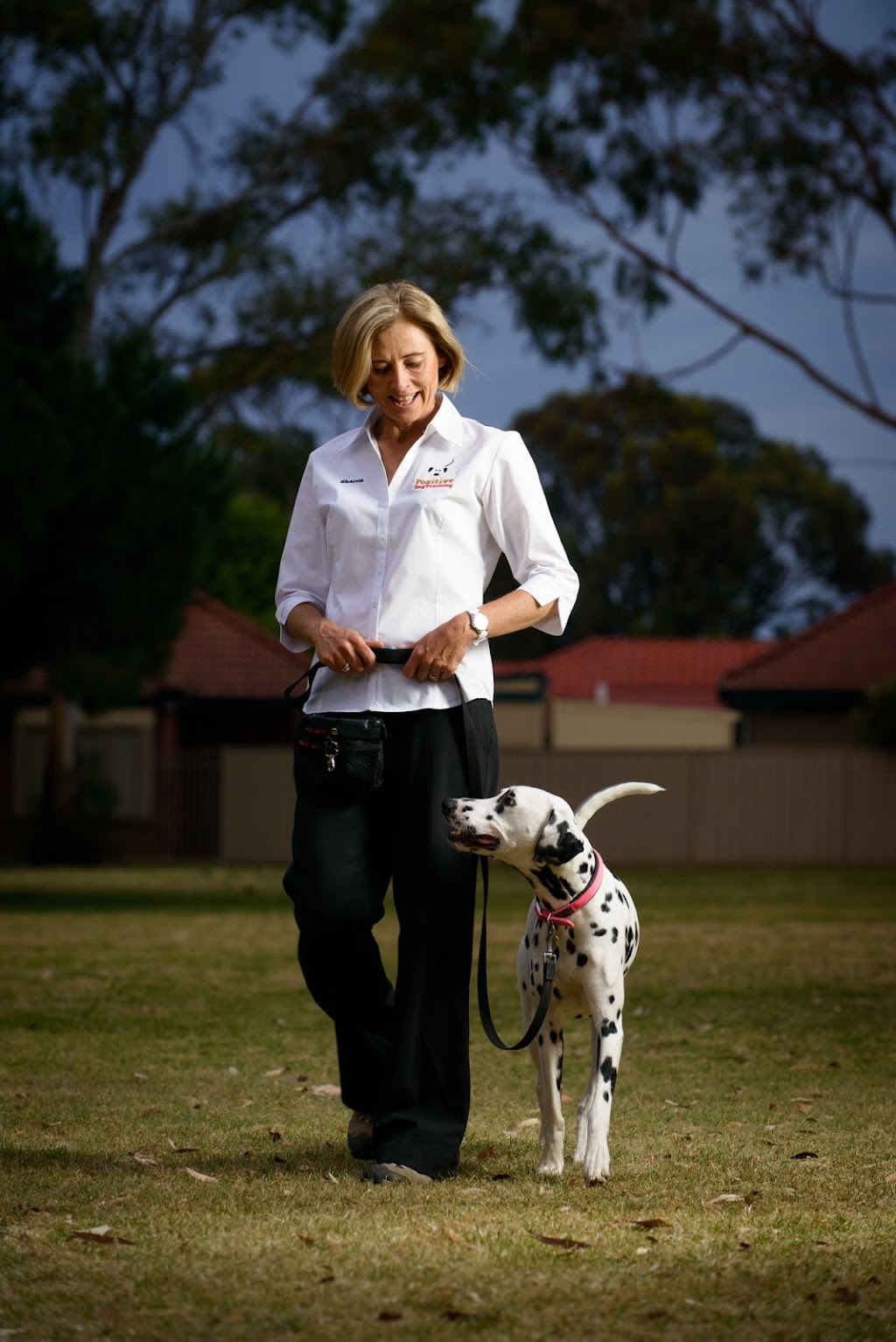 Positive Dog Training | Village Green, Unley SA 5061, Australia | Phone: 0418 886 698