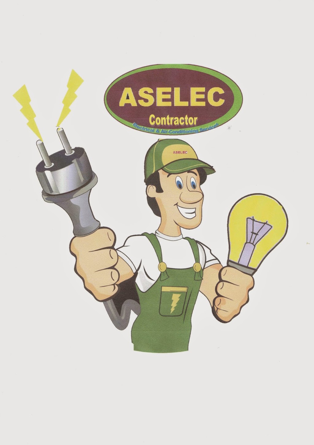 ASELEC Electrical Services | 12 Miowera Rd, Chester Hill NSW 2162, Australia | Phone: 0405 203 125