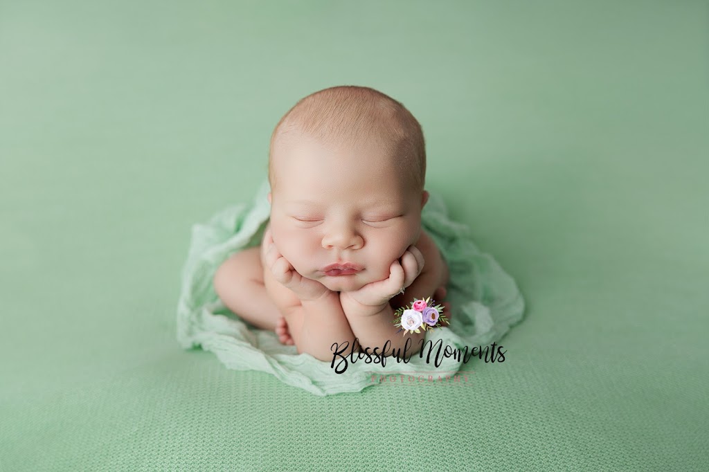 Blissful Moments Photography | 17 Toorak St, Glenella QLD 4740, Australia | Phone: 0403 354 797