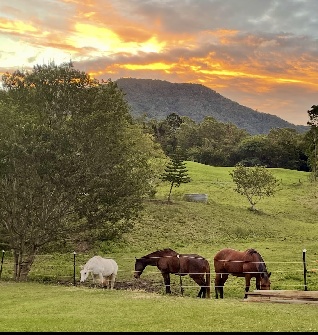 Brumbies Hollow Cabin Stay and Equine Experiences | *, Highvale QLD 4520, Australia | Phone: (07) 3289 7912