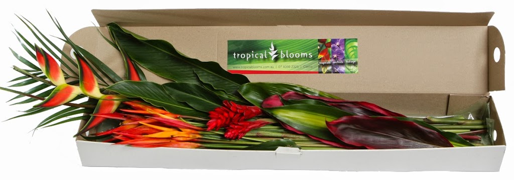 Tropical Blooms Pty Ltd |  | 249 Warner Rd, Gordonvale QLD 4865, Australia | 0740562325 OR +61 7 4056 2325