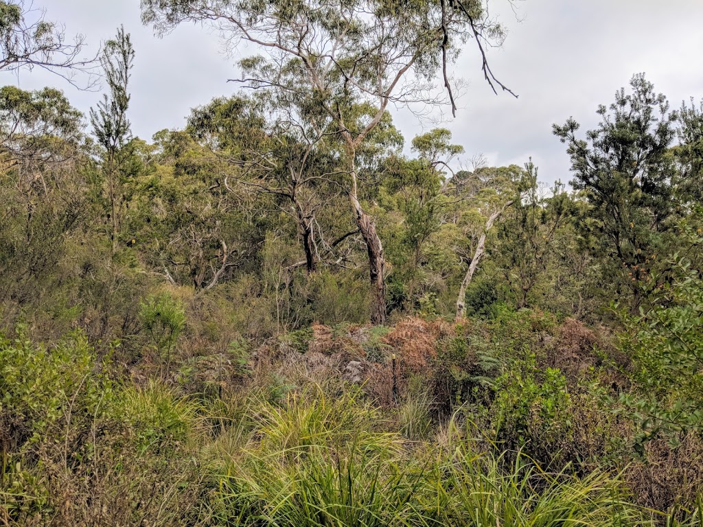 Sunshine Reserve | park | Mount Martha VIC 3934, Australia