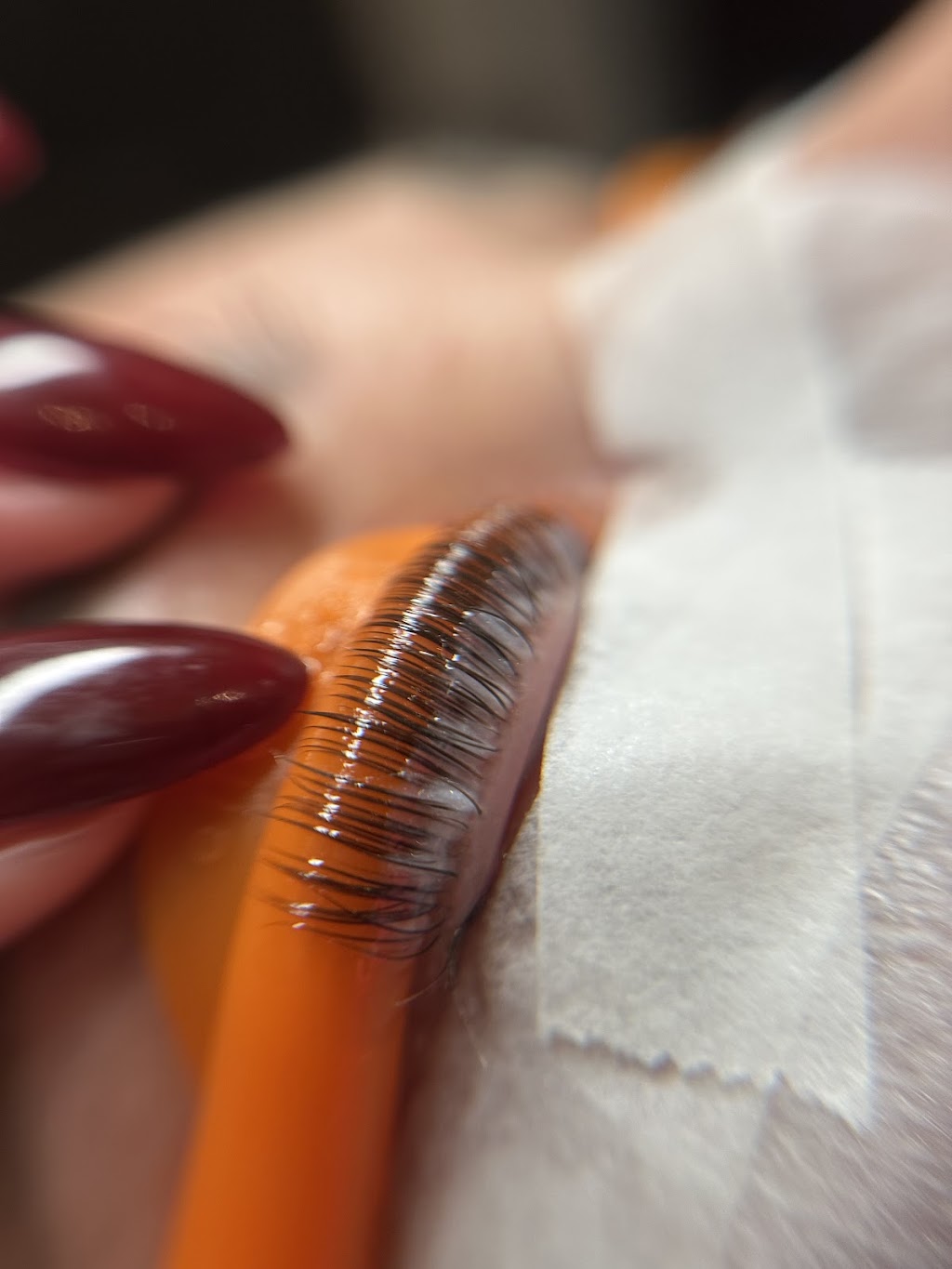 Heavenly Beauty Co. | 69 Pillinger Rd, Rochedale QLD 4123, Australia | Phone: 0431 646 743