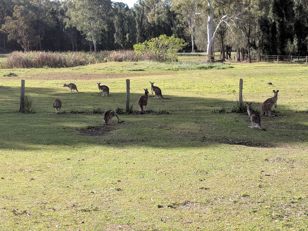 Arundel Park Riding for Disabled | 387 Brisbane Rd, Coombabah QLD 4216, Australia | Phone: (07) 5594 0305