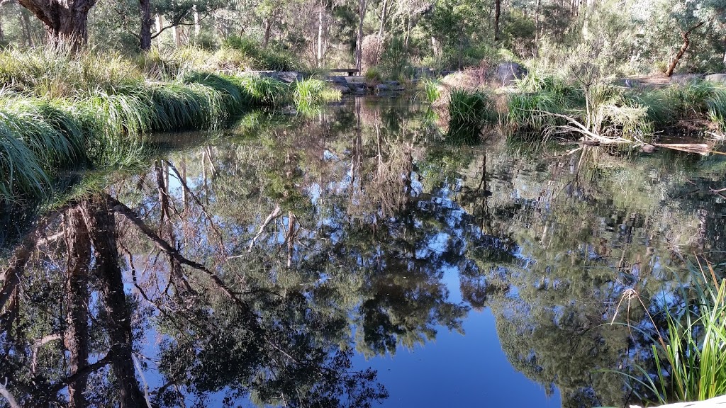 Yarran Dheran Nature Reserve | Ashburton Dr, Mitcham VIC 3132, Australia | Phone: (03) 9874 5968