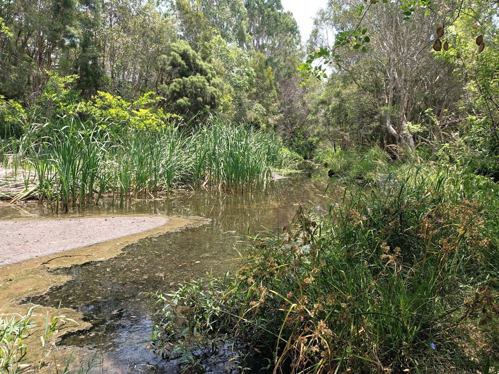 Evergreen Place Park | park | Murarrie QLD 4172, Australia