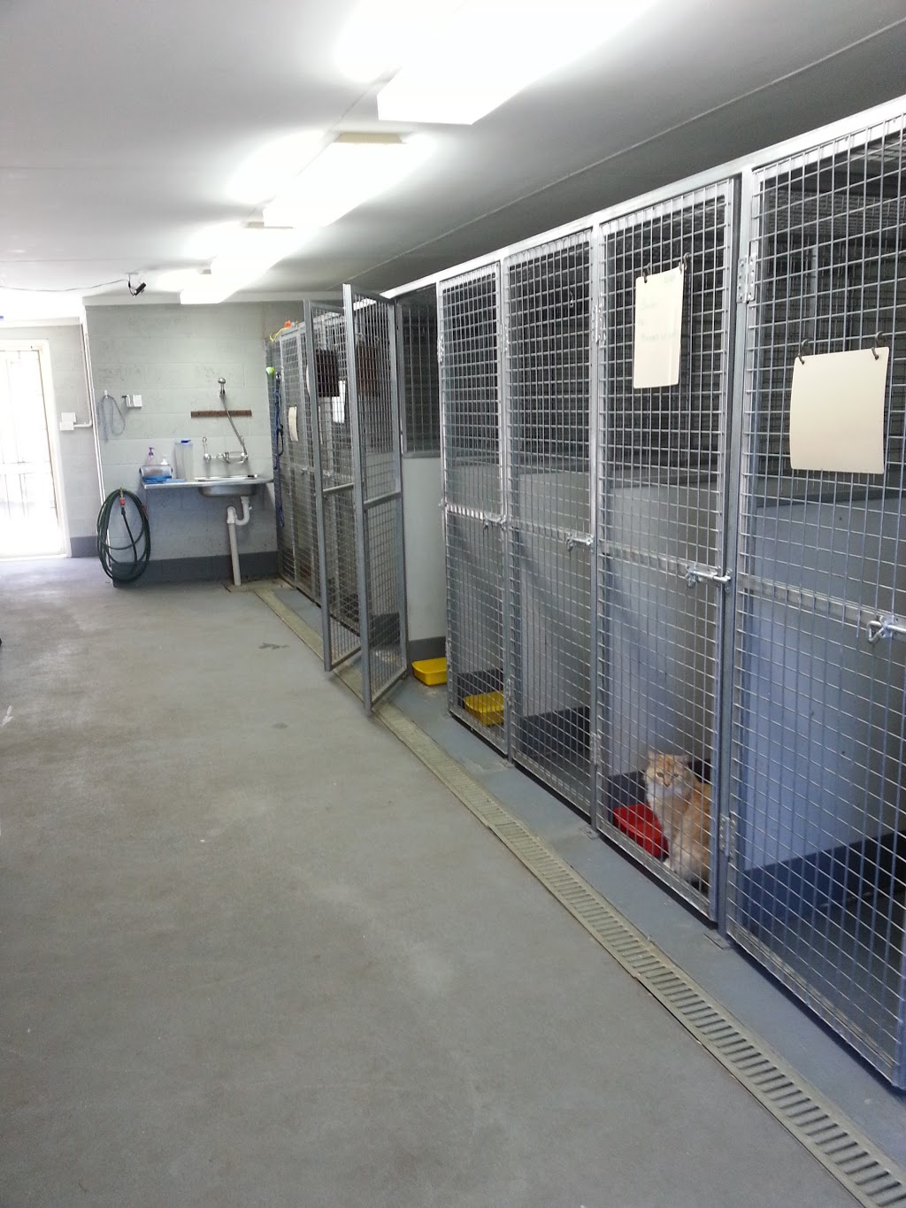 Bligh Park Veterinary Hospital | veterinary care | 693 George St, South Windsor NSW 2756, Australia | 0245877177 OR +61 2 4587 7177