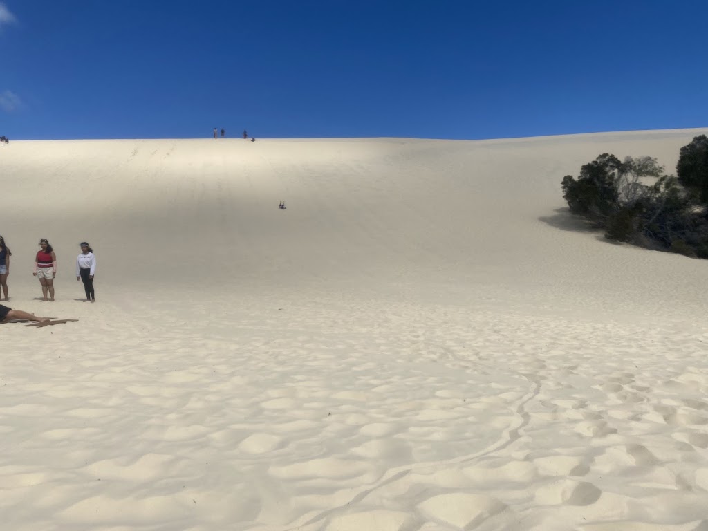 Tangalooma Desert Safari Tour | Tours Desk, Tangalooma QLD 4025, Australia | Phone: (07) 3637 2000