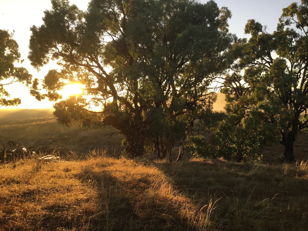 Art Shack Gallery "Wilgabah" | 107 Baldocks Rd, Wallabadah NSW 2343, Australia | Phone: 0427 462 155