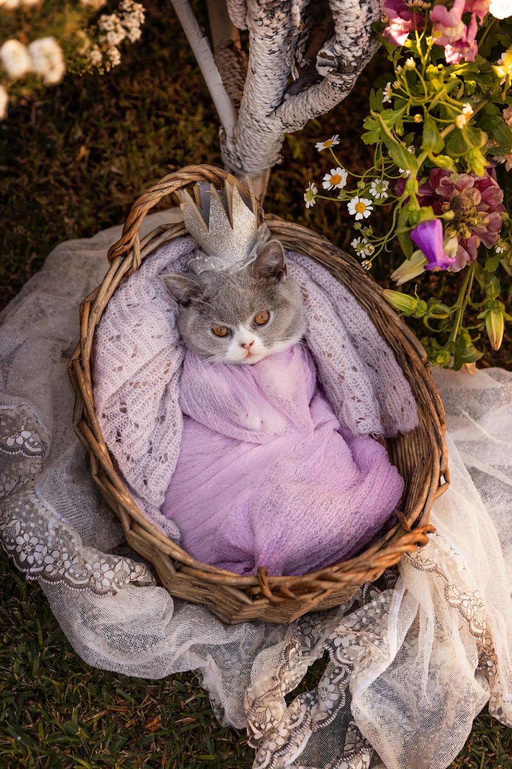 La Bella Vita Photography- Shannon Smith | Freemans Dr, Cooranbong NSW 2265, Australia | Phone: 0439 462 402