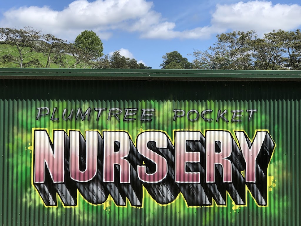 Plumtree Pocket Nursery | 28 Plumtree Pocket, Upper Burringbar NSW 2483, Australia | Phone: 0439 557 438