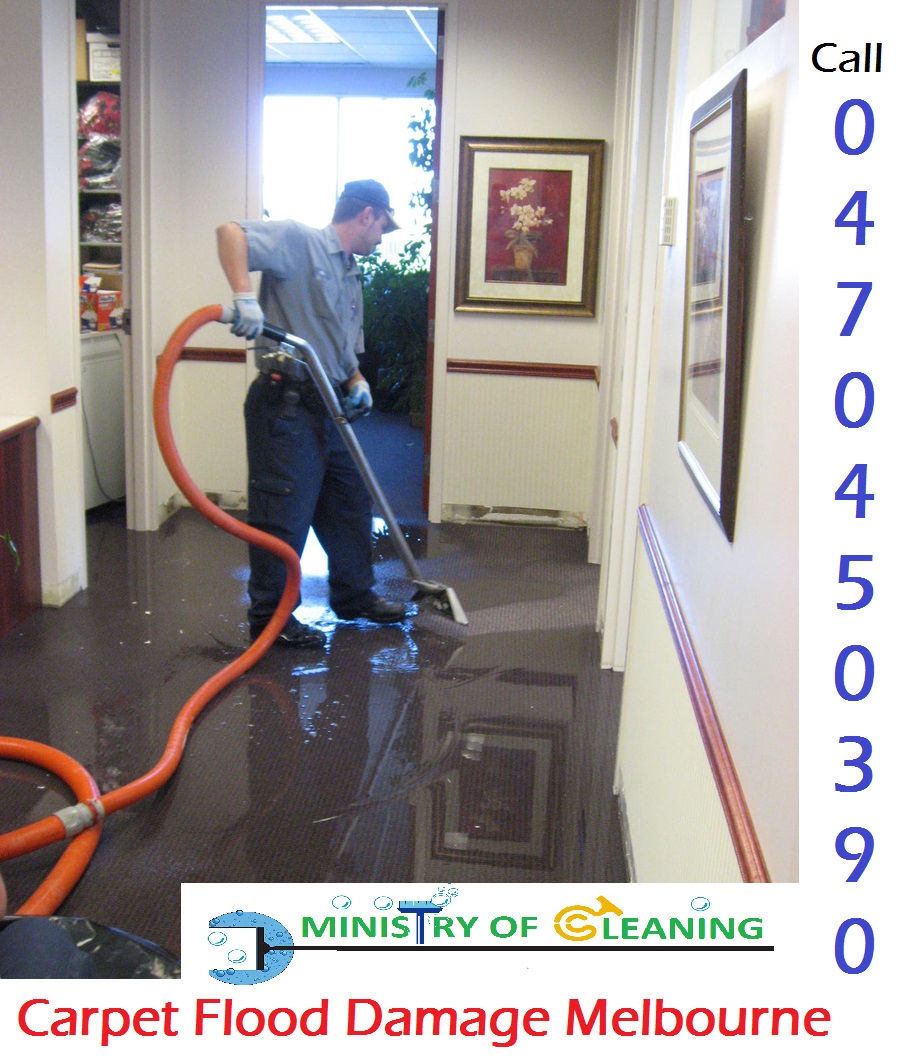 Carpet Cleaning Melbourne: Ministry Of Cleaning | Vacate Cleanin | 82 Hothlyn Dr, Craigieburn VIC 3064, Australia | Phone: 0470 450 390