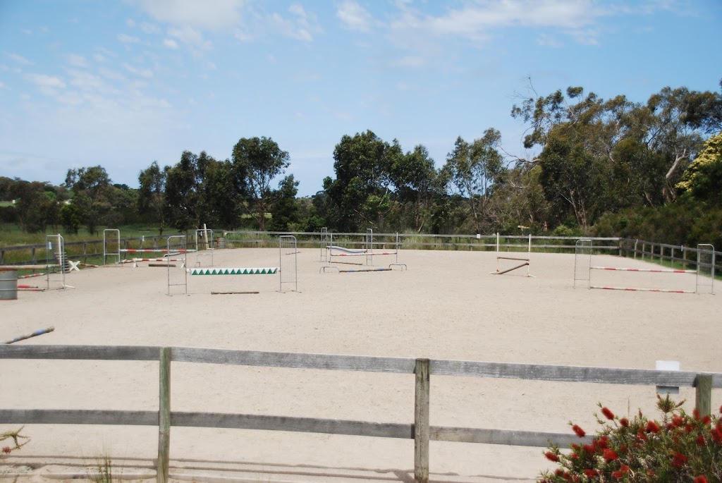 Hawks Nest Horse Agistment | 125 Balnarring Rd, Balnarring VIC 3926, Australia | Phone: 0419 558 030