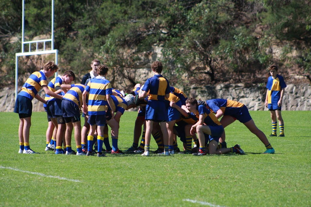 St Pius X College Playing Fields |  | 1 Dreadnought Rd, Oxford Falls NSW 2100, Australia | 0294114733 OR +61 2 9411 4733